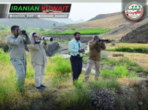 پرندگان مهاجر