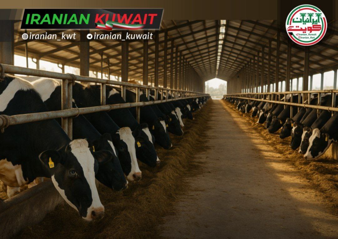 شیوع بیماری تب برفکی