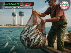 خلیج کویت جون کویت صید ماهی مید