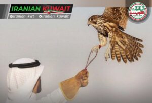 شکار غیرقانونی