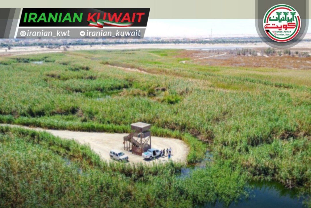 منطقه حفاظت‌شده جهراء