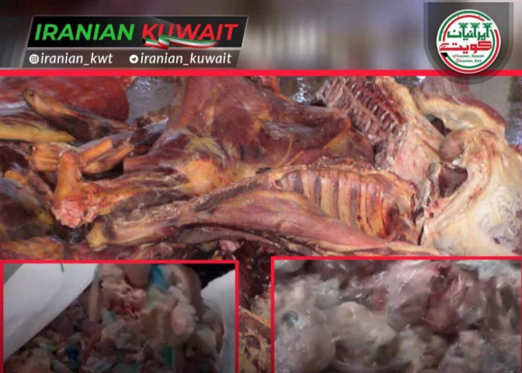 شناسایی شبکه فروش گوشت فاسد و ضبط انبار بدون مجوز محل نگهداری در کویت؛