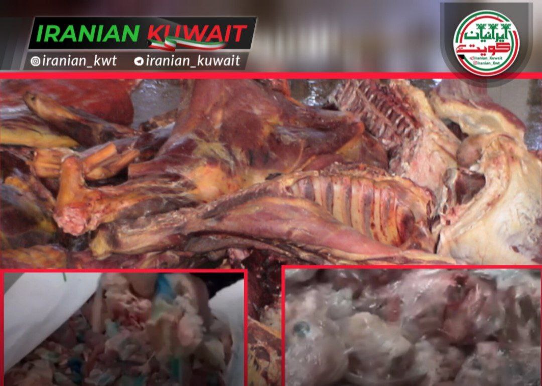 شناسایی شبکه فروش گوشت فاسد و ضبط انبار بدون مجوز محل نگهداری در کویت؛