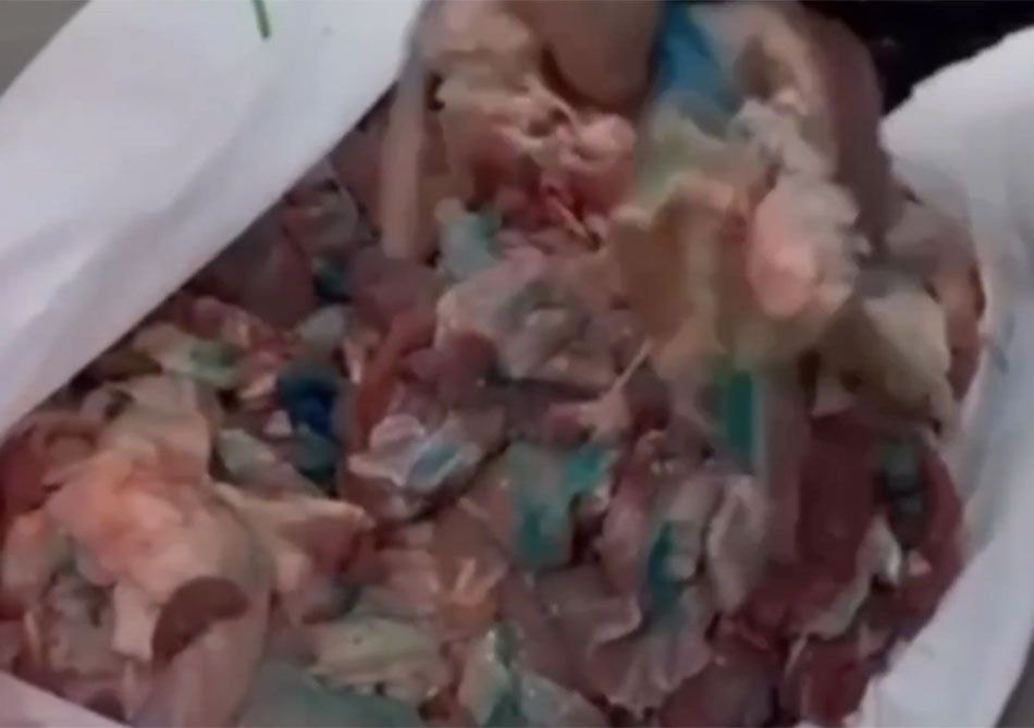 شناسایی شبکه فروش گوشت فاسد و ضبط انبار بدون مجوز محل نگهداری در کویت؛